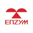 Enzym